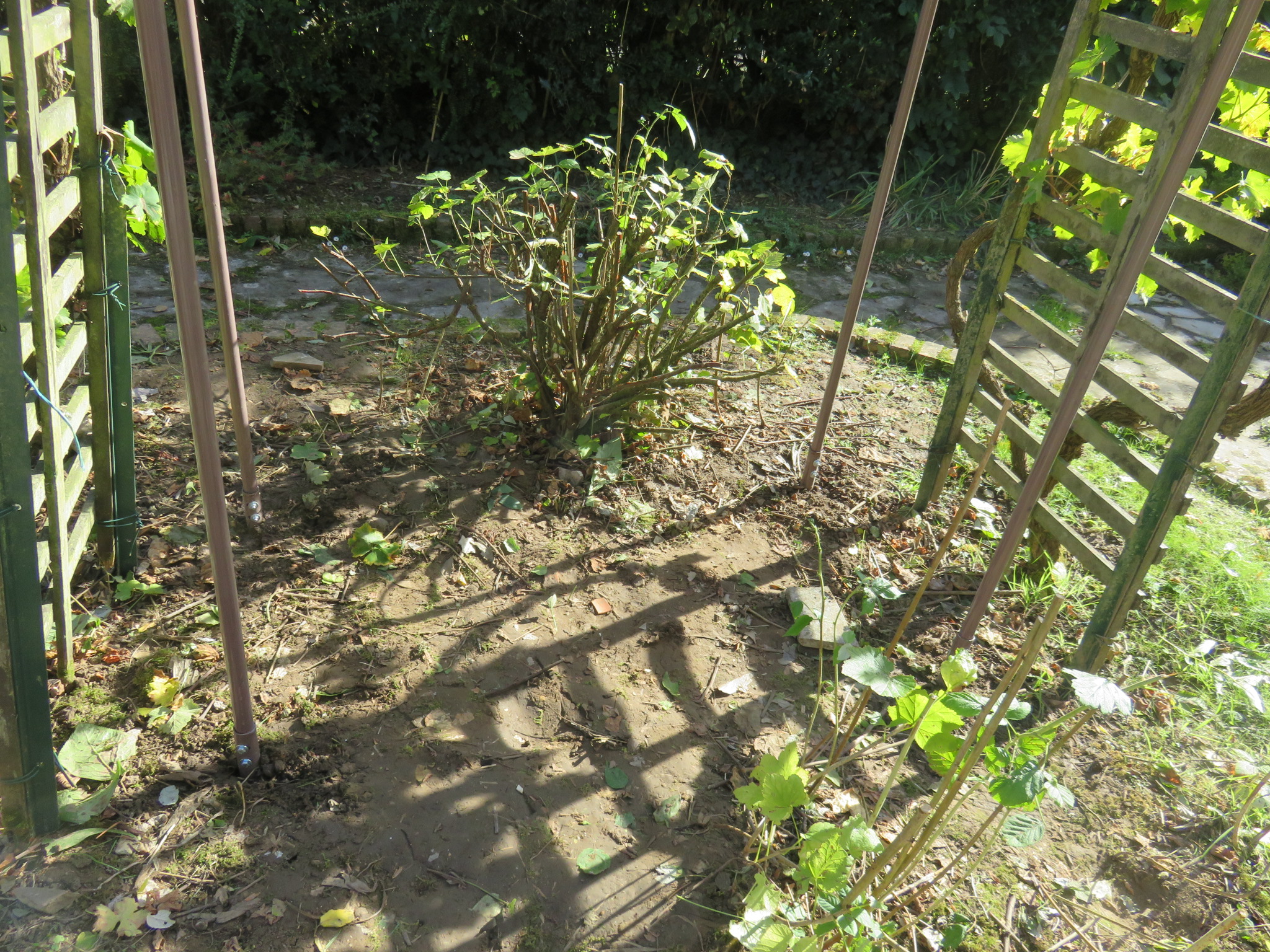 Assemblage des piquets